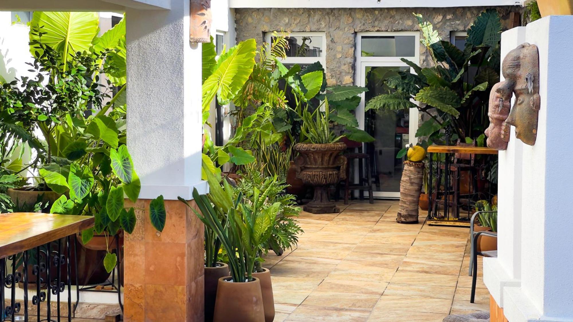 Quinta Alberto Boutique Hotel Сан-Блас Экстерьер фото